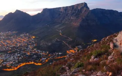The Apprentice – Week One – Managing Expectations in South Africa